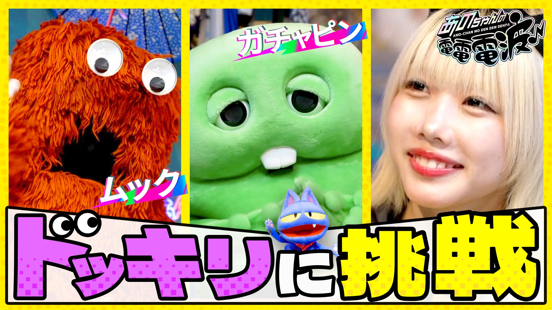 Together with Gachapin, We Will Play a Prank on Mukku