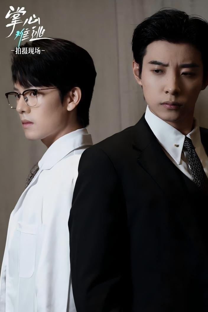Poster de 掌心难逃