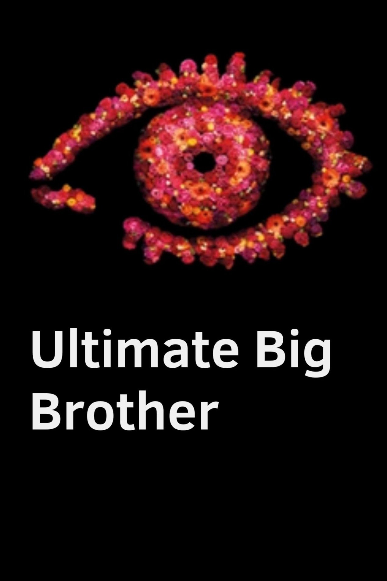 Poster de Ultimate Big Brother