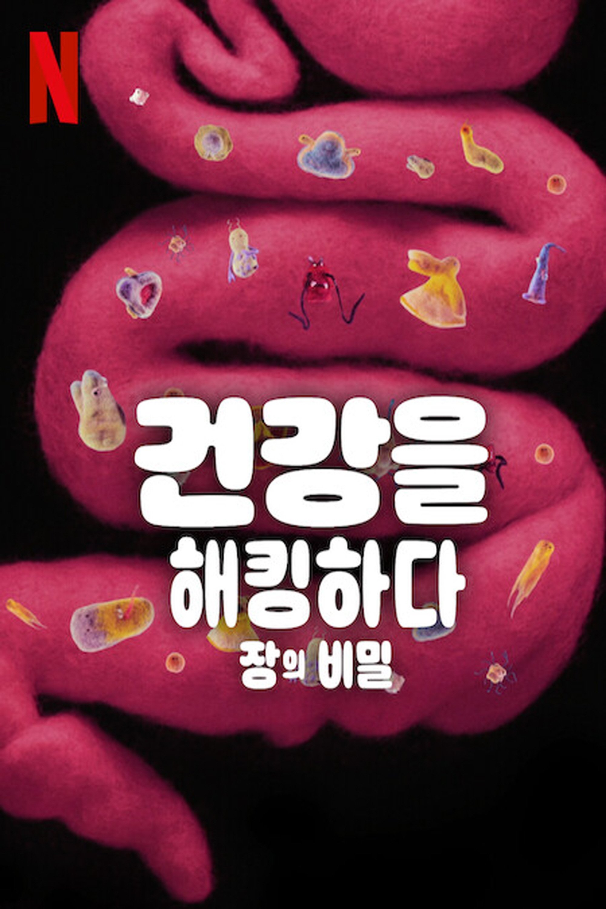 건강을 해킹하다: 장의 비밀