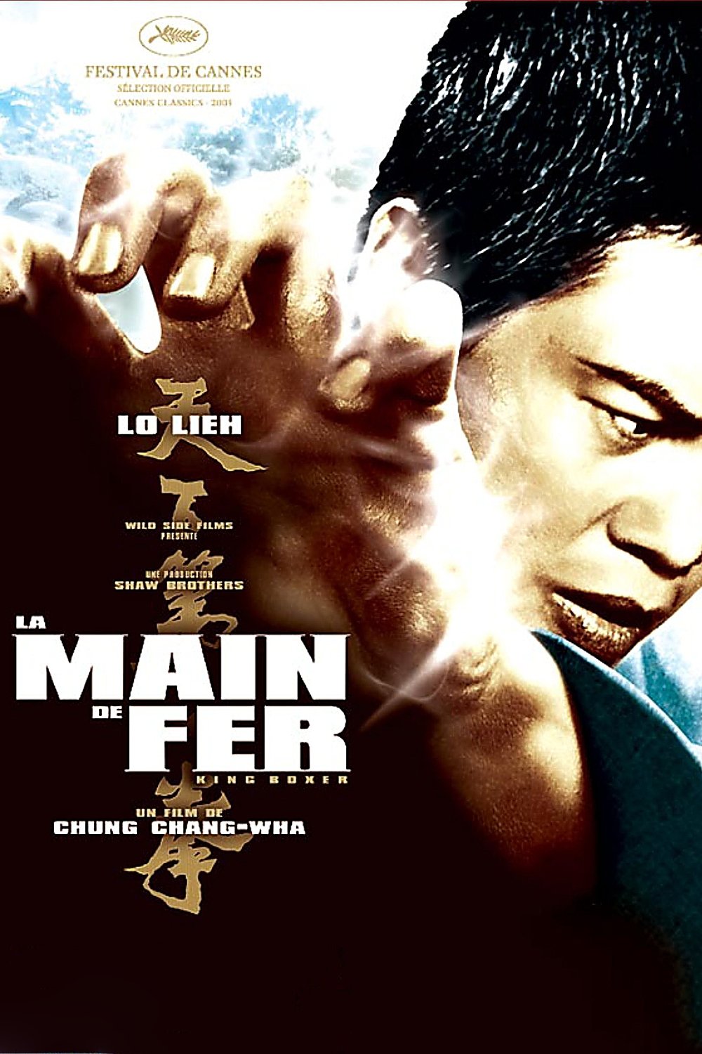 Affiche du film 天下第一拳