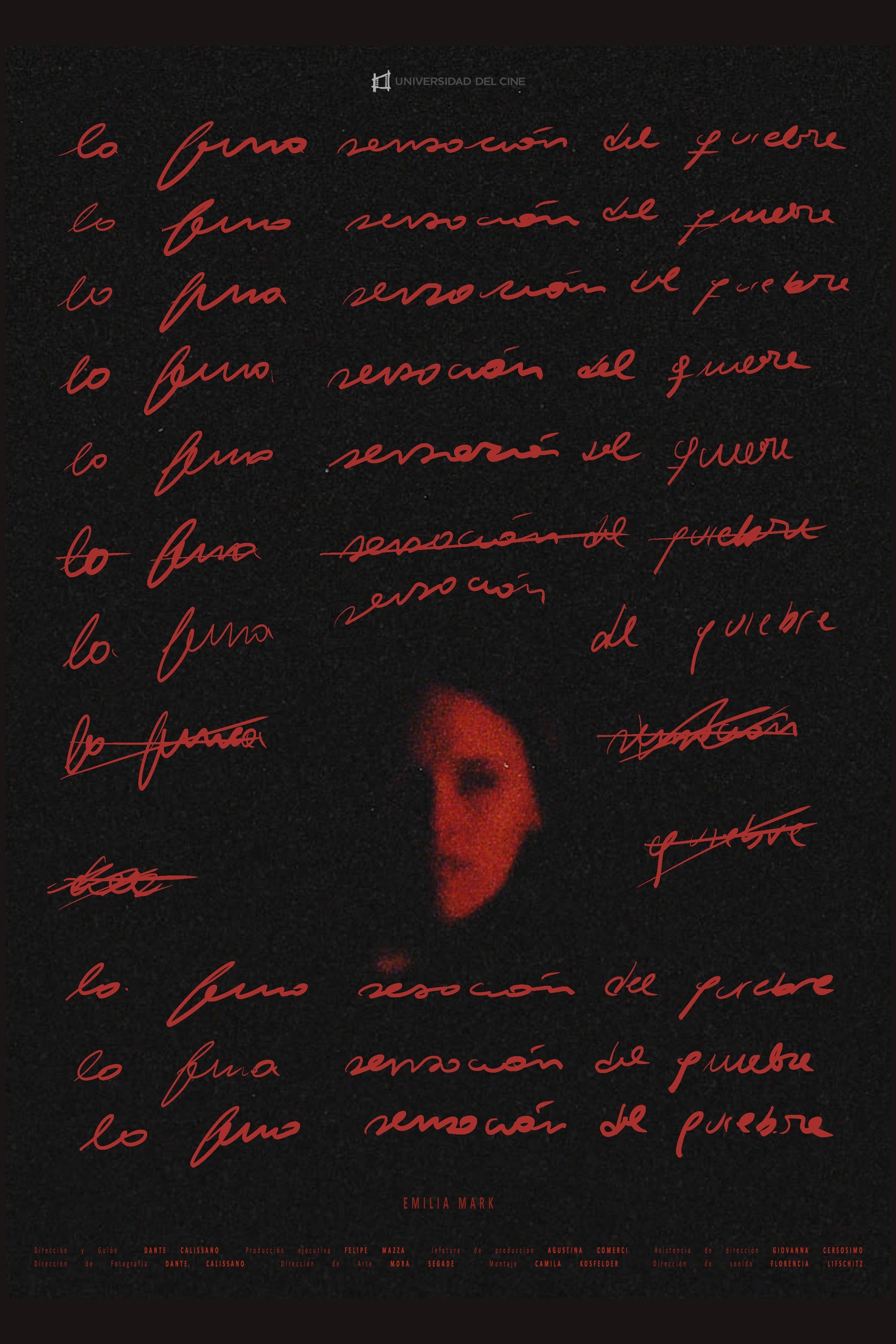 Poster de The subtle feeling of breaking