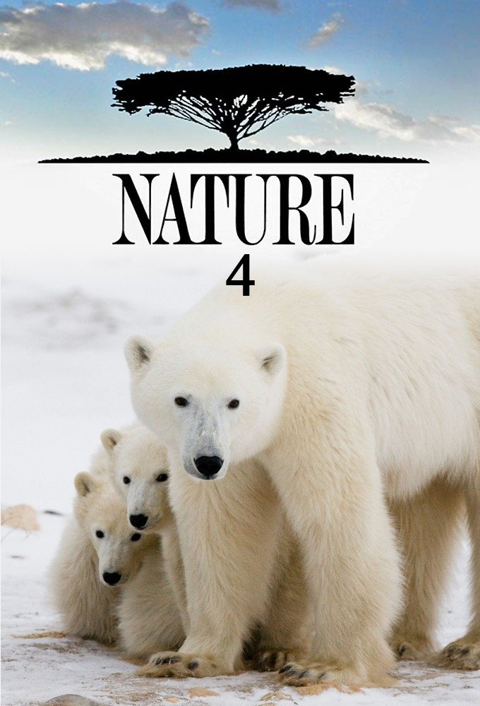Poster de Temporada 4