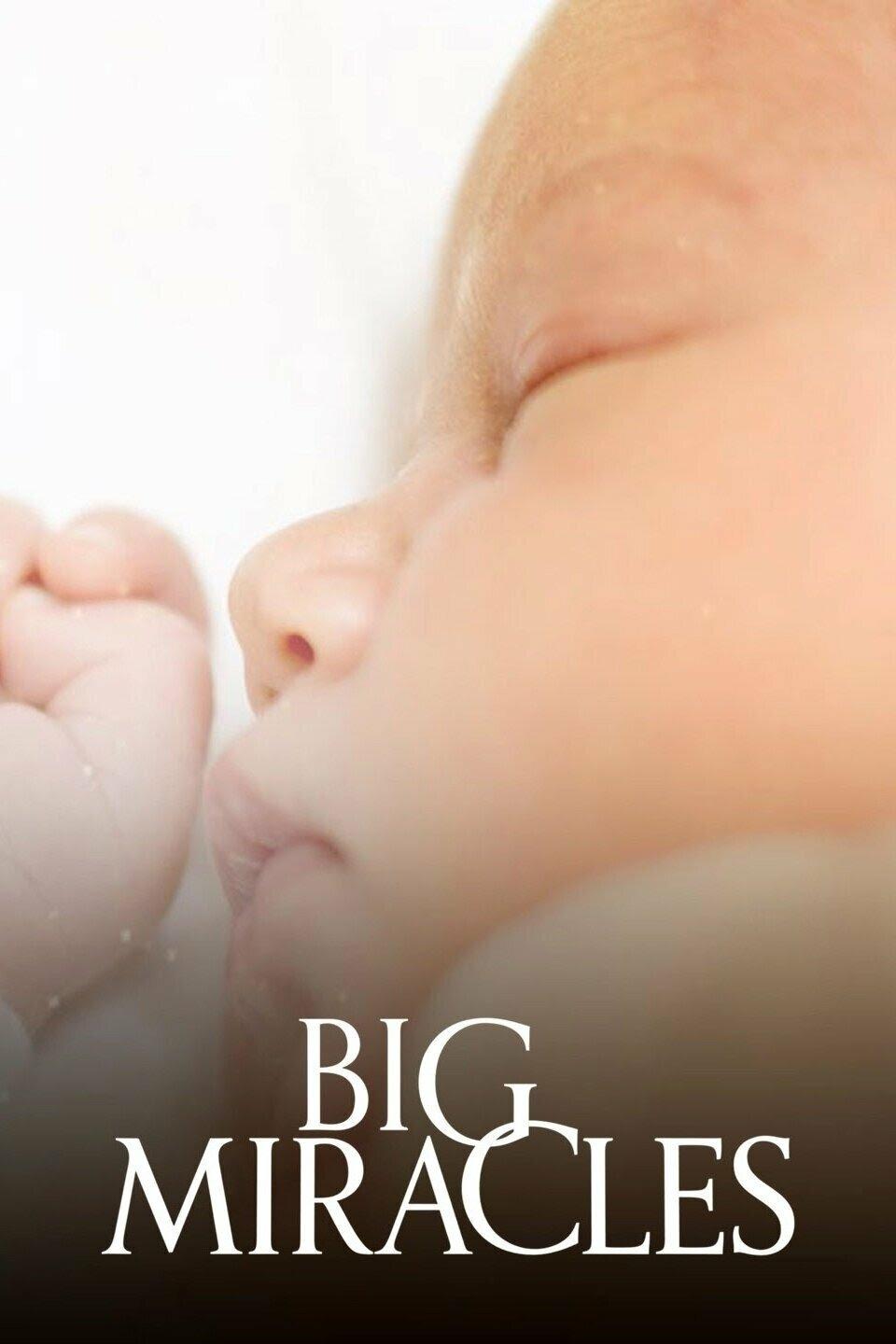 Poster de Big Miracles