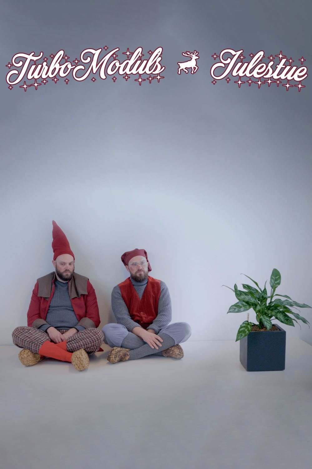 Poster de TurboModuls julestue