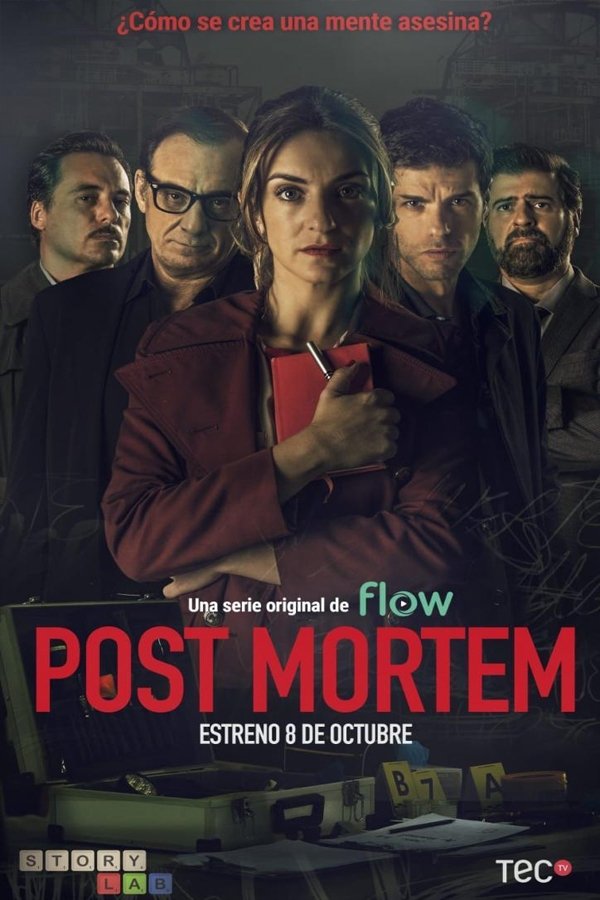 Poster de Post Mortem