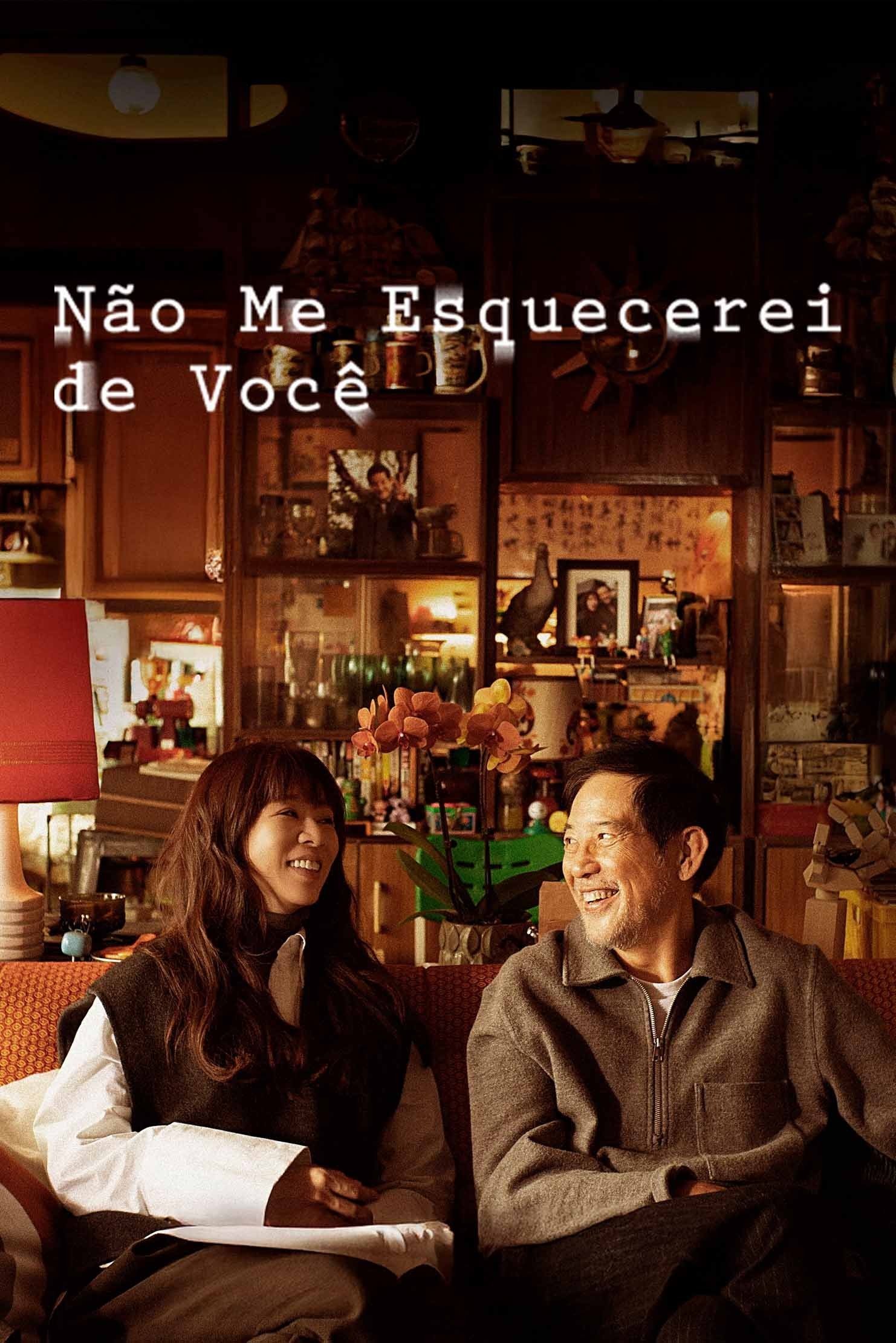 Poster de Não Me Esquecerei de Você