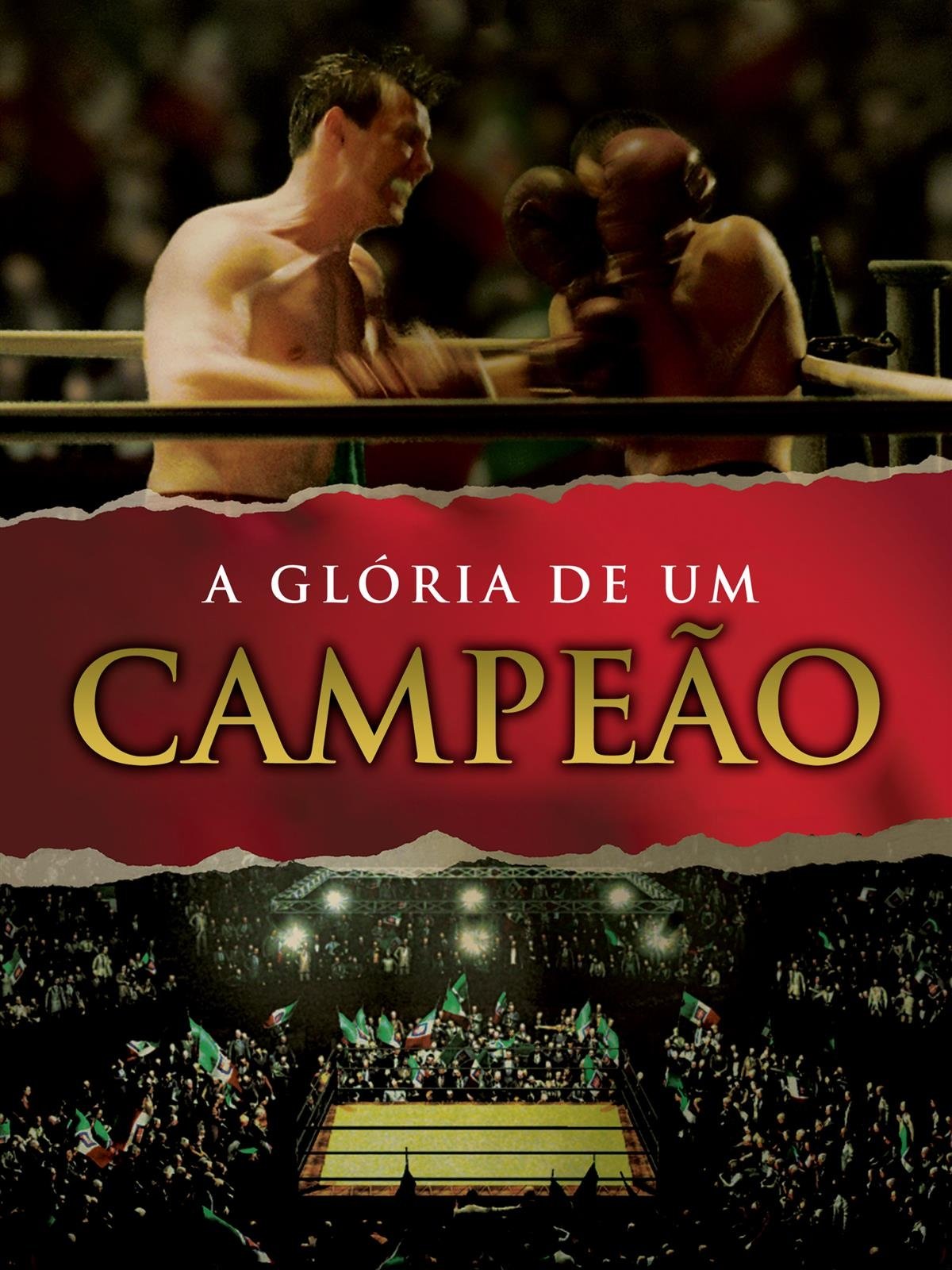 Poster de A Glória de um Campeão