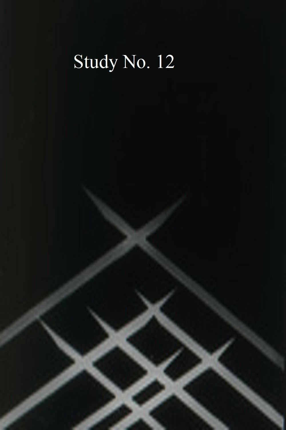 Poster de Studie Nr. 12