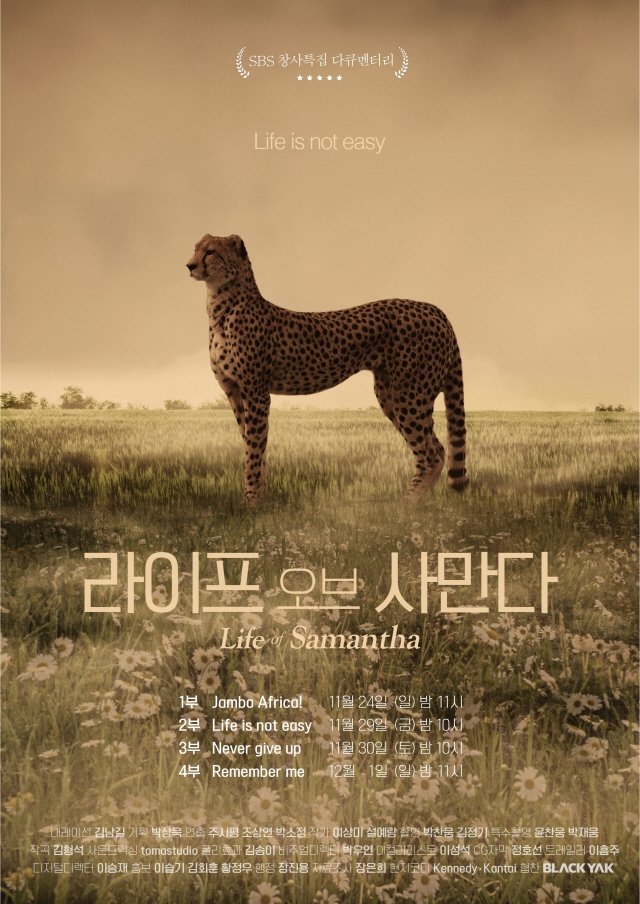 Poster de 라이프 오브 사만다