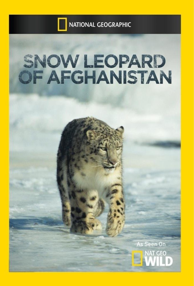 Poster de O Leopardo-das-Neves do Afeganistão