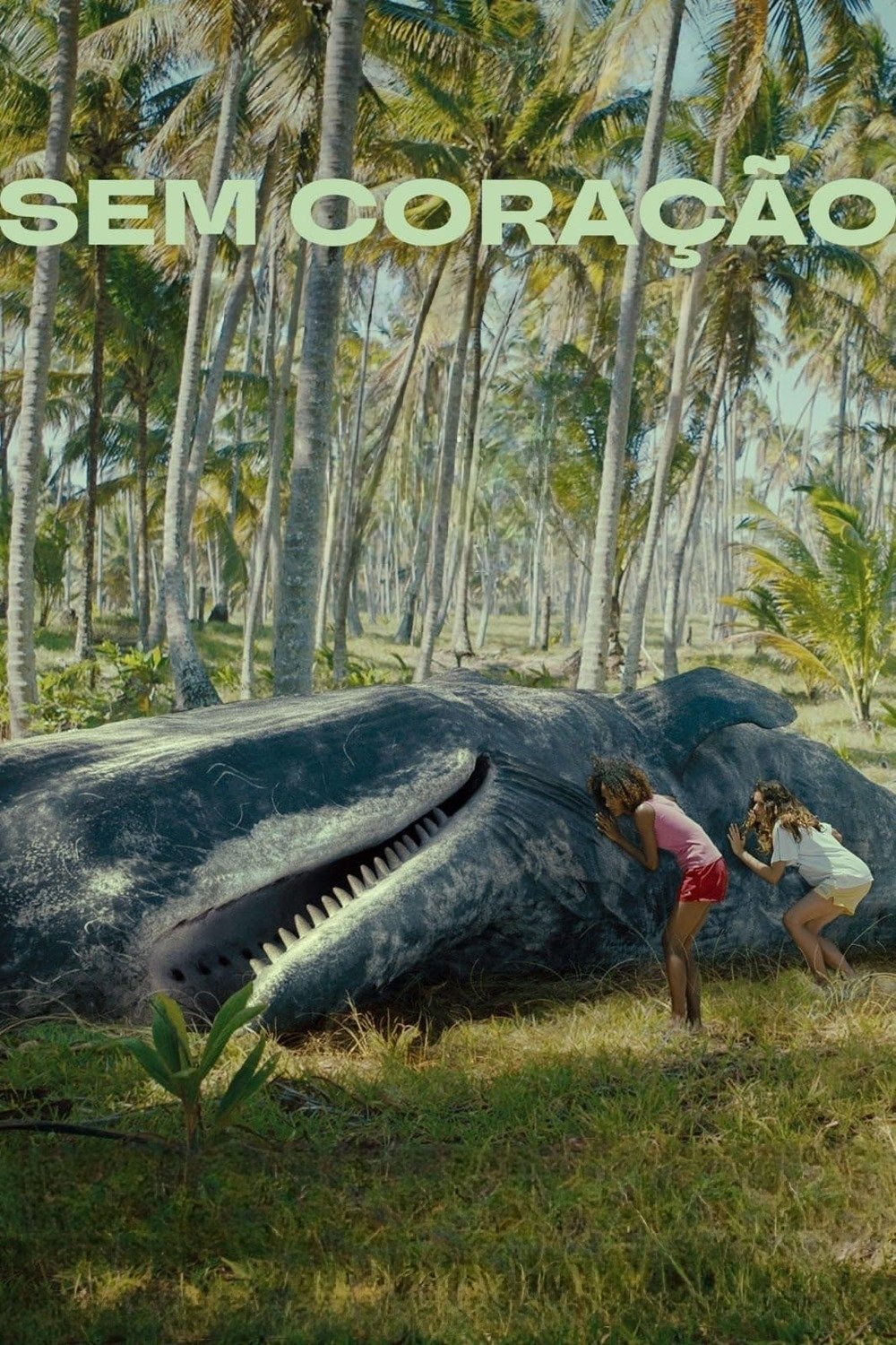 Poster de Sem Coração