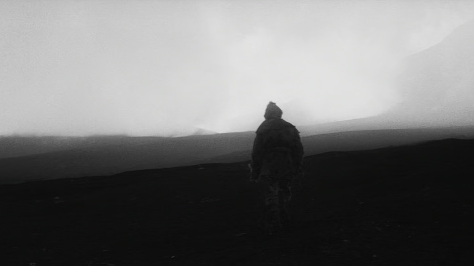 backdrops