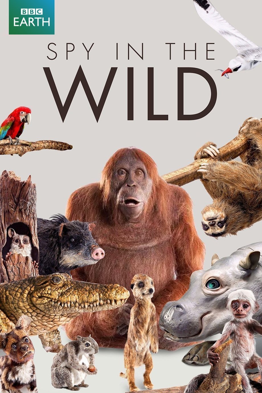Poster de Temporada 1