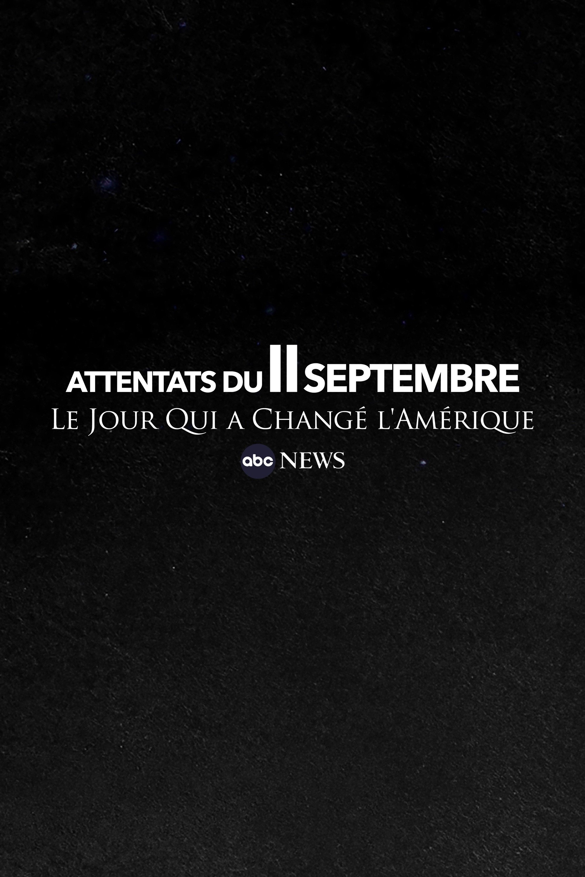 Affiche du film Attentats du 11 septembre : le jour qui a changé l’Amérique