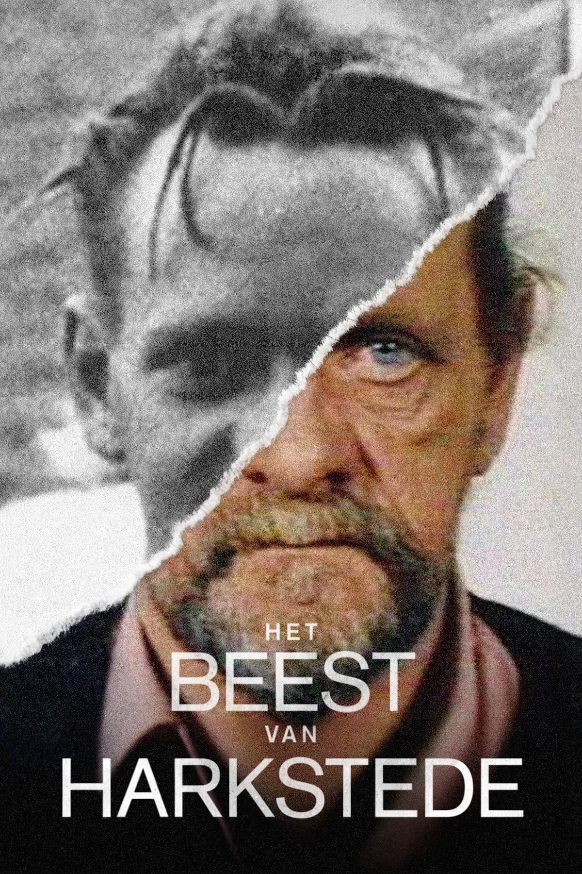 Poster de Het Beest van Harkstede