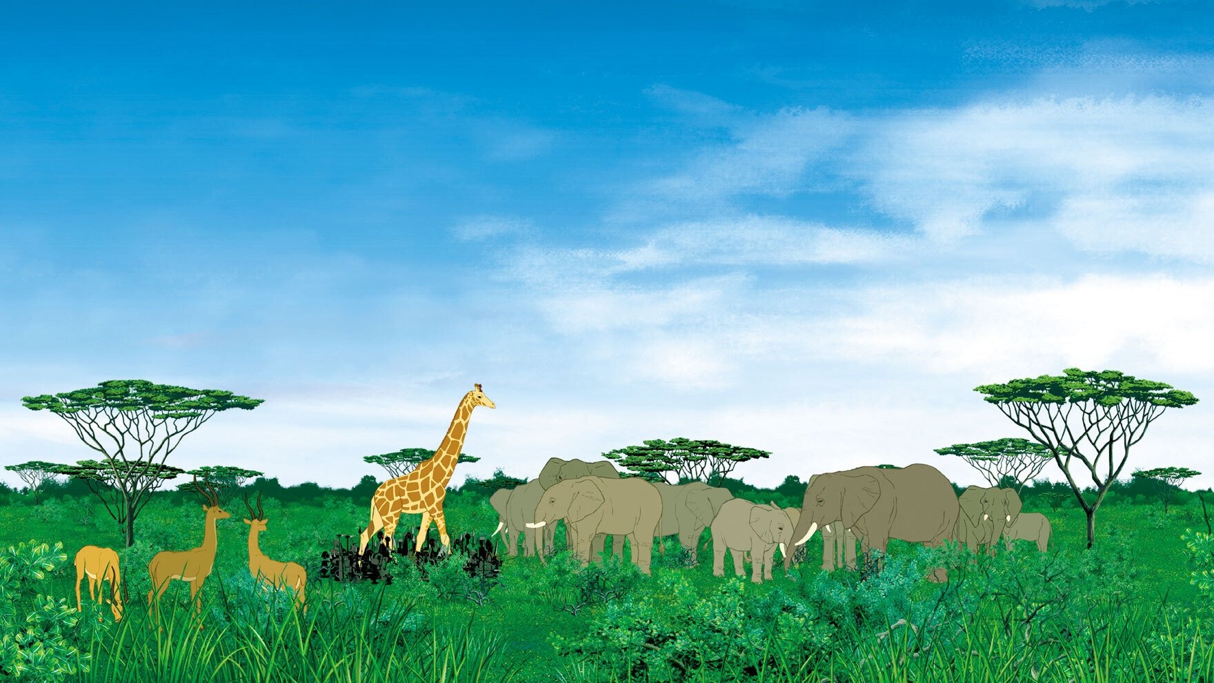 Backdrop image