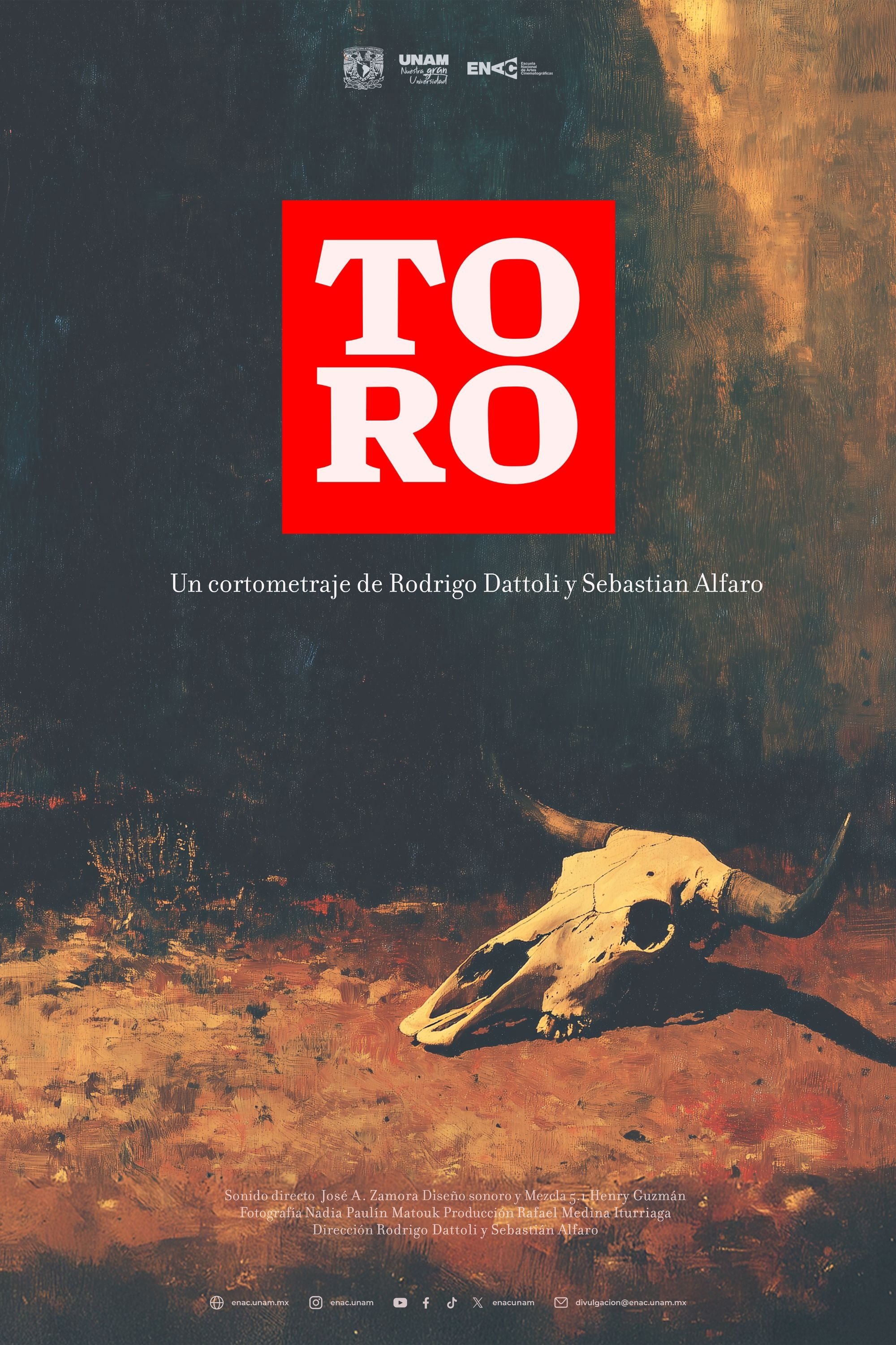 Poster de Toro