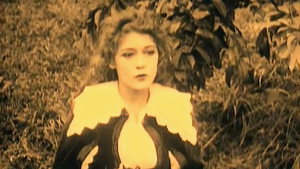 Backdrop image
