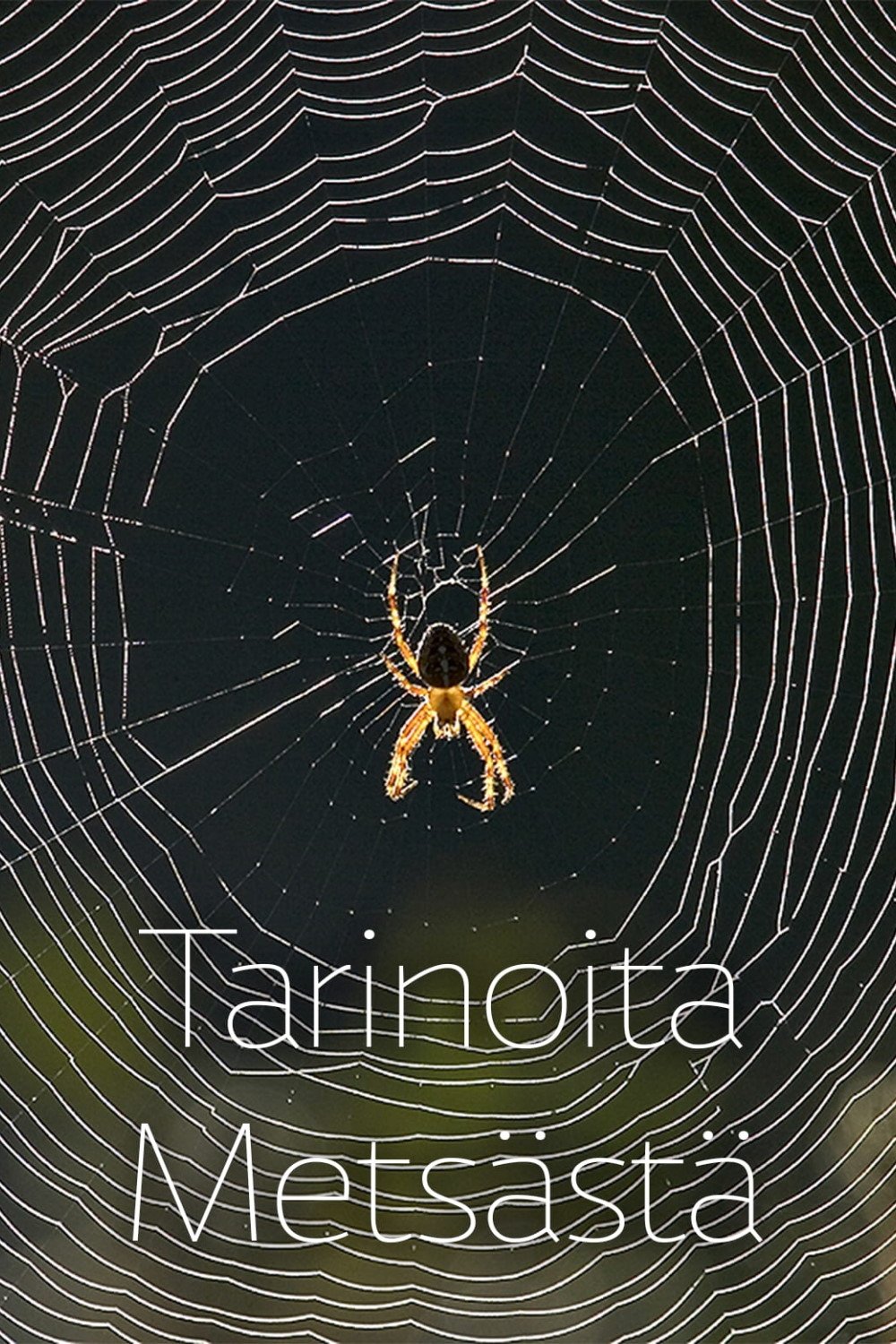 Poster de Tarinoita metsästä