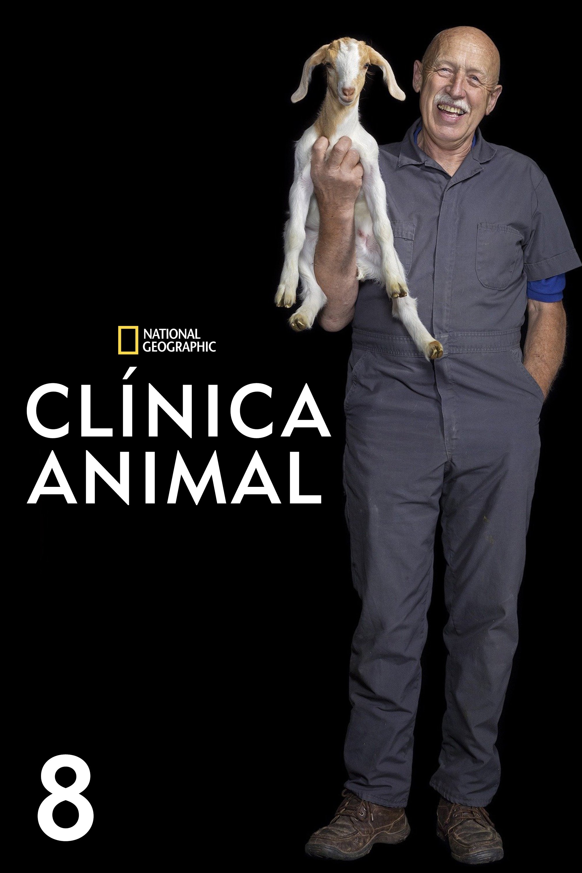 Poster de Temporada 8