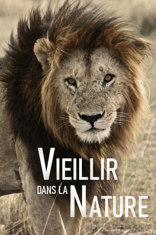 Poster de Vieillir dans la nature