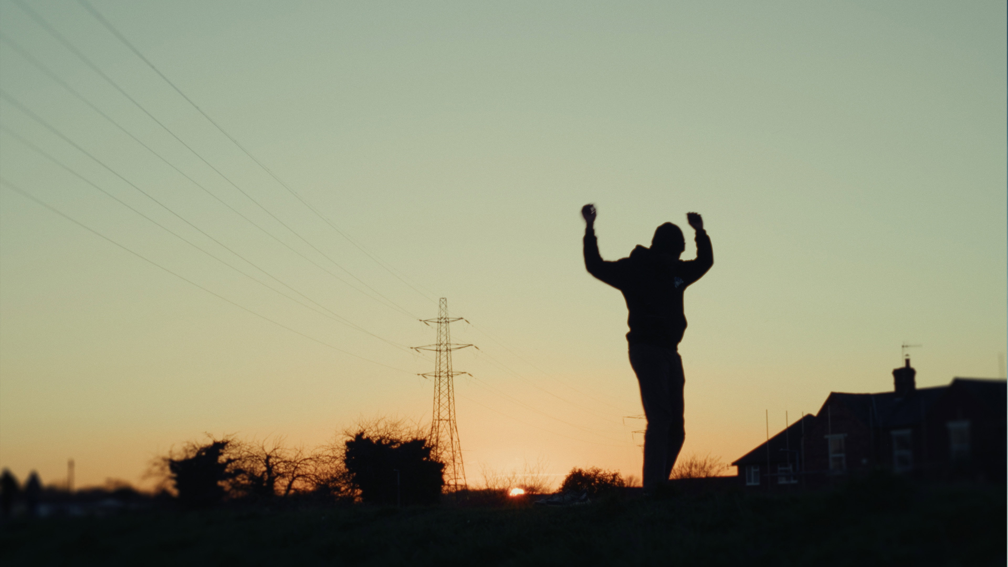 Director
