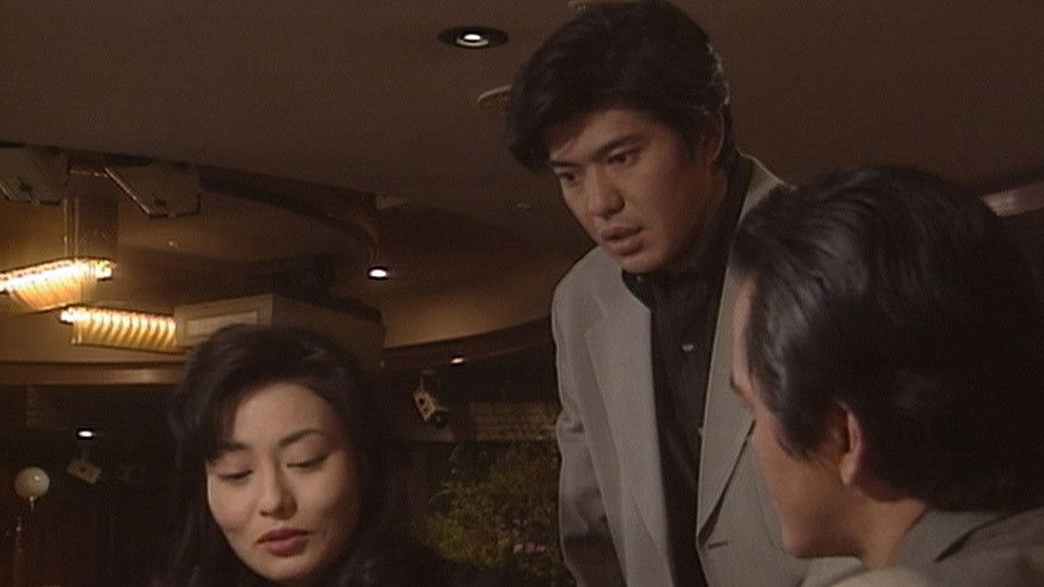 棟居刑事の複合遺恨