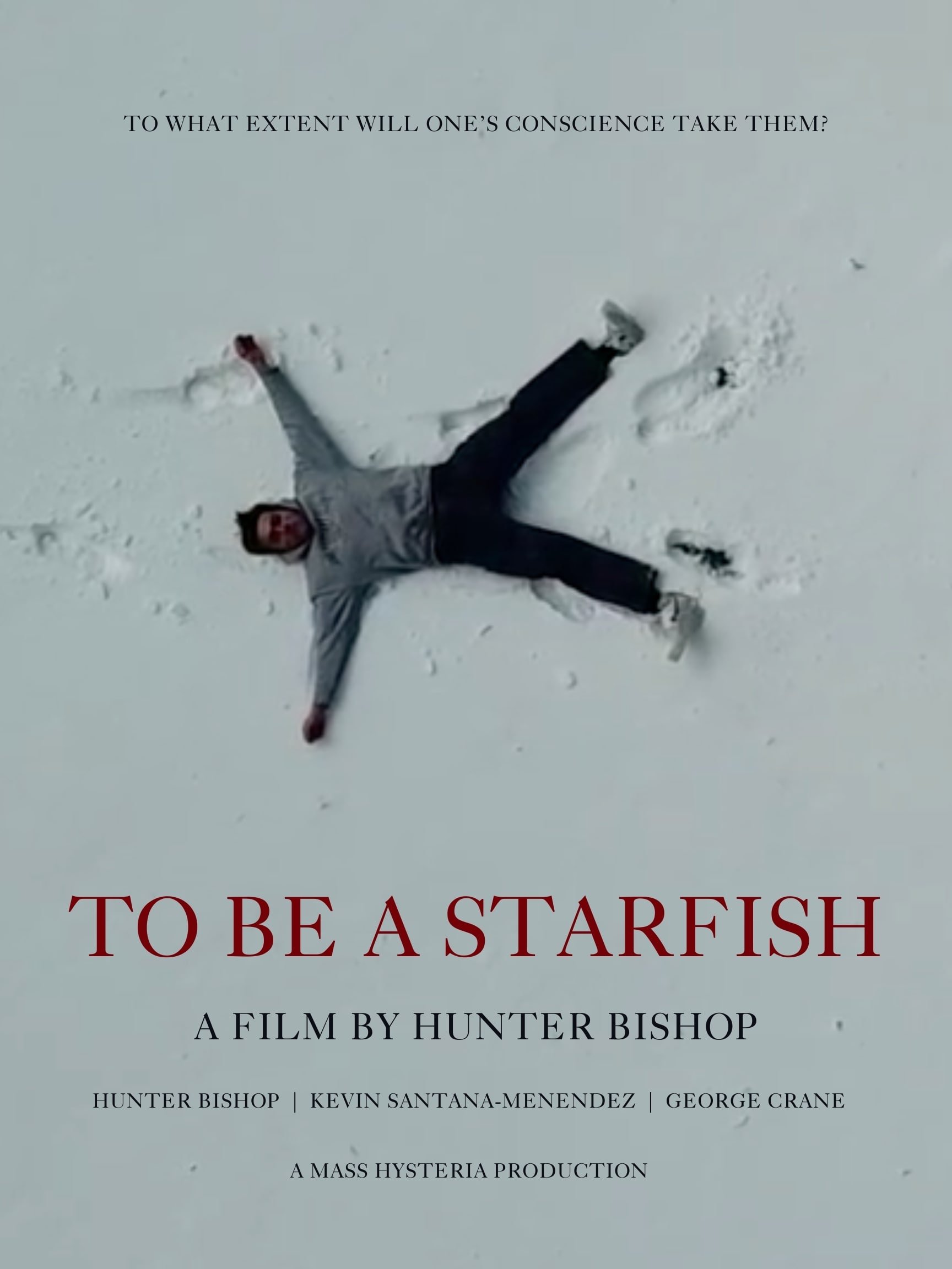 Poster de To Be a Starfish