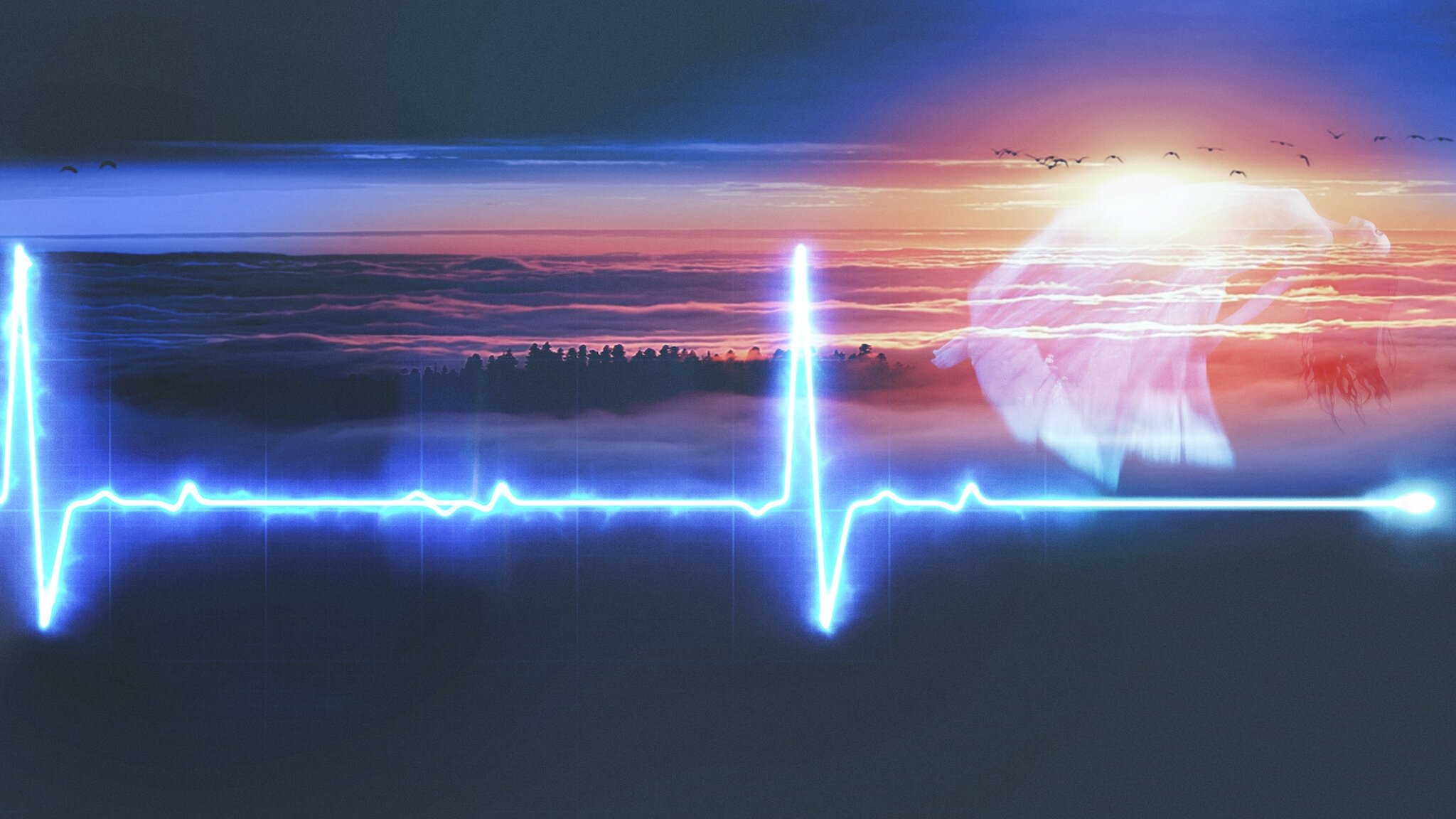 Backdrop image