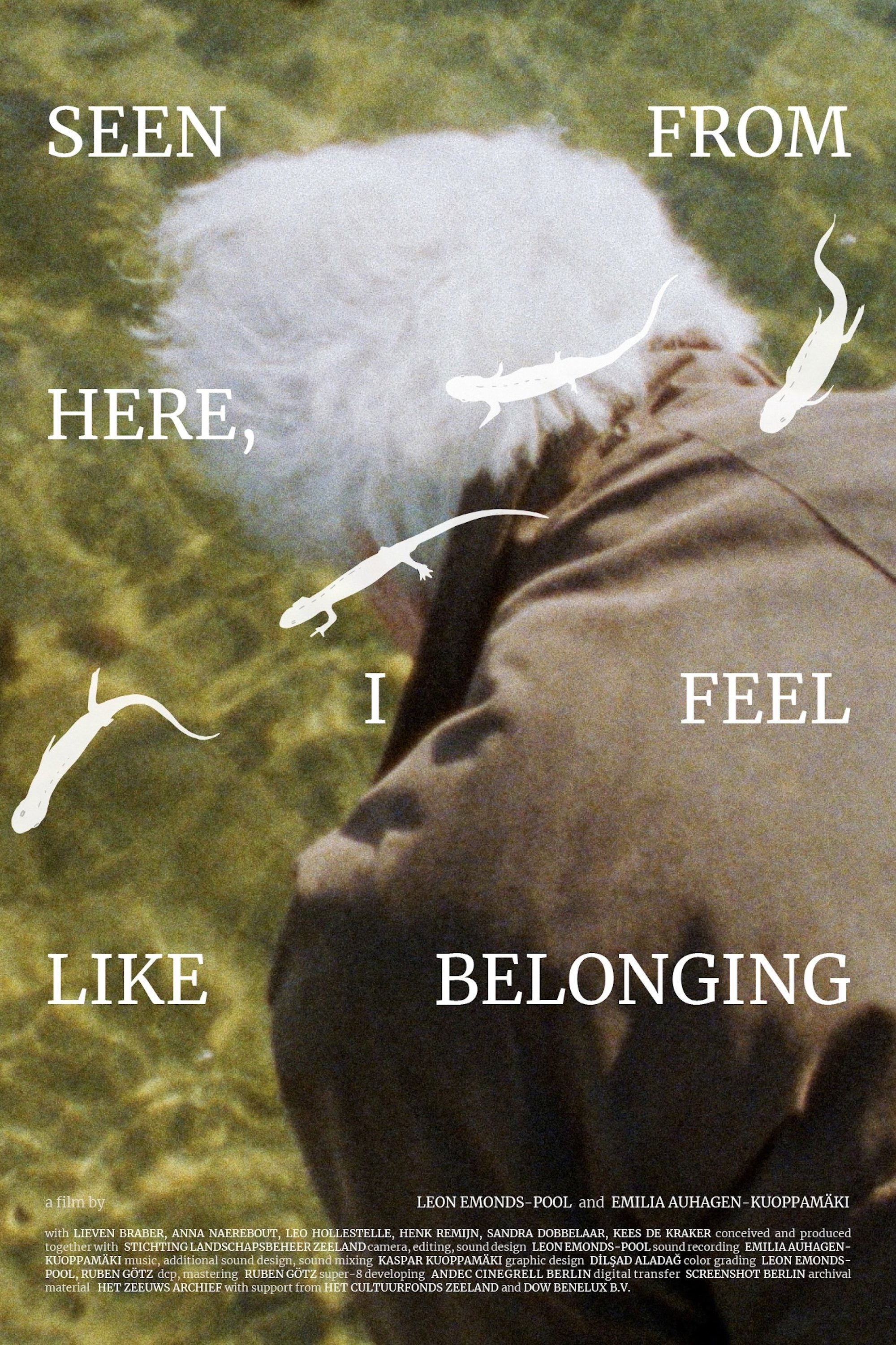 Seen From Here, I Feel Like Belonging