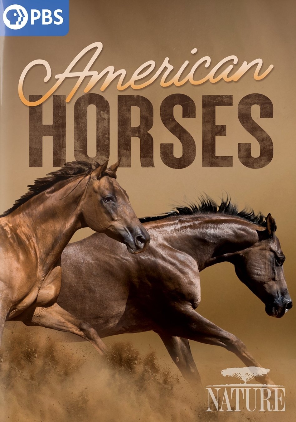 Poster de American Horses