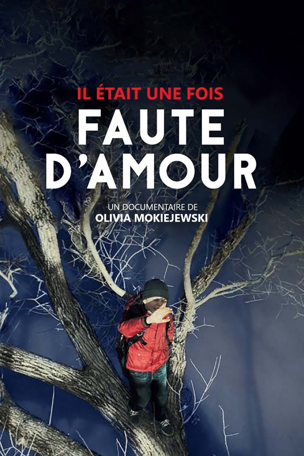 Poster de Il était une fois... « Faute d'amour »
