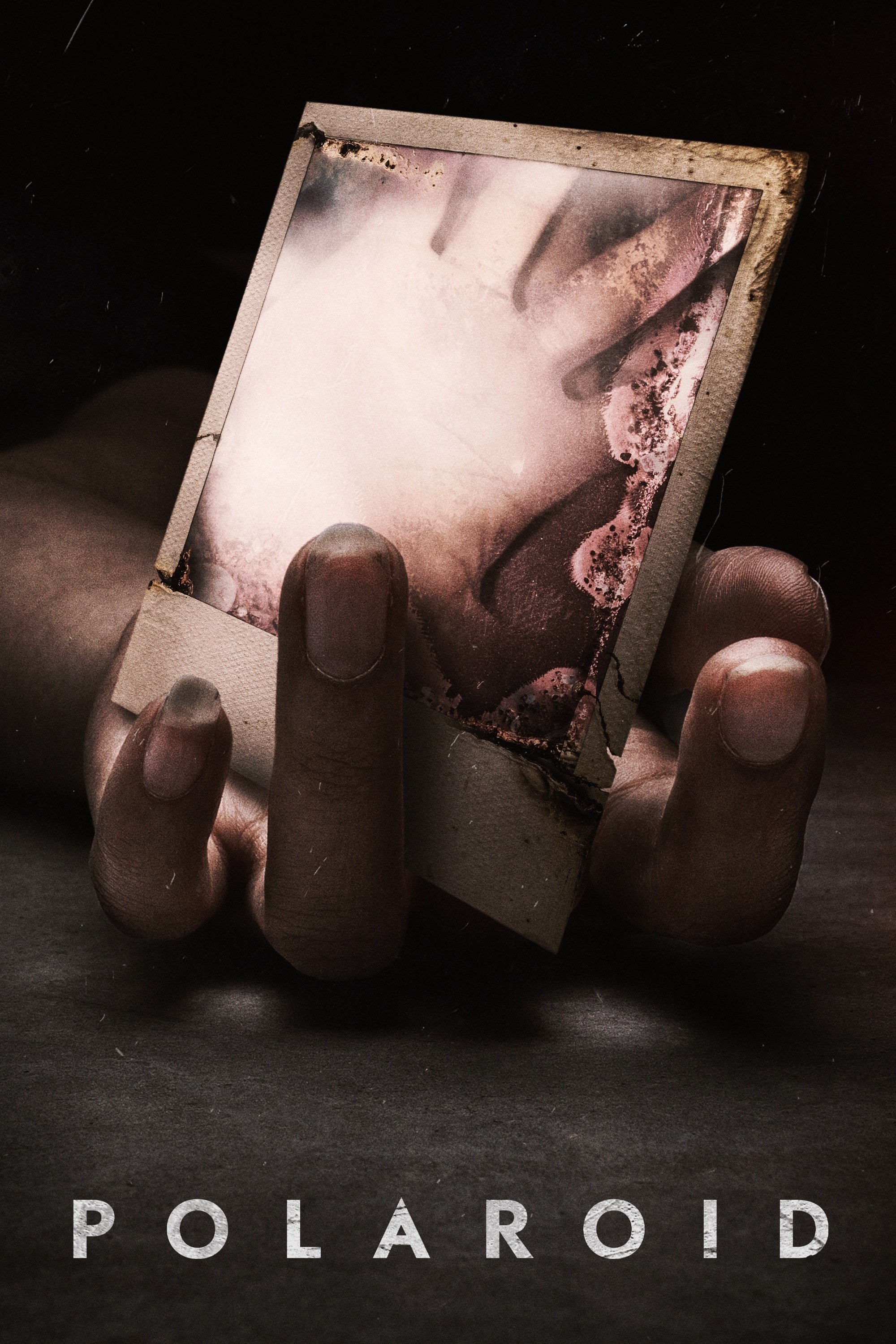 Affiche du film Polaroid