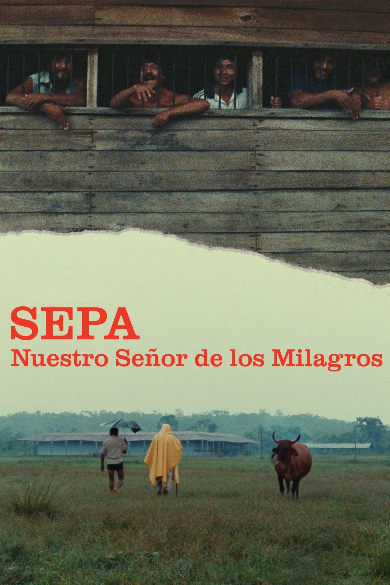 Poster de Sepa - Nuestro Señor de los Milagros
