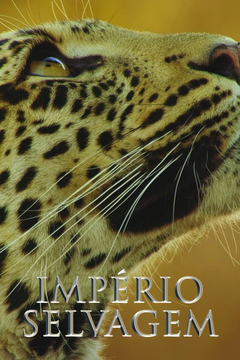 Poster de Temporada 3