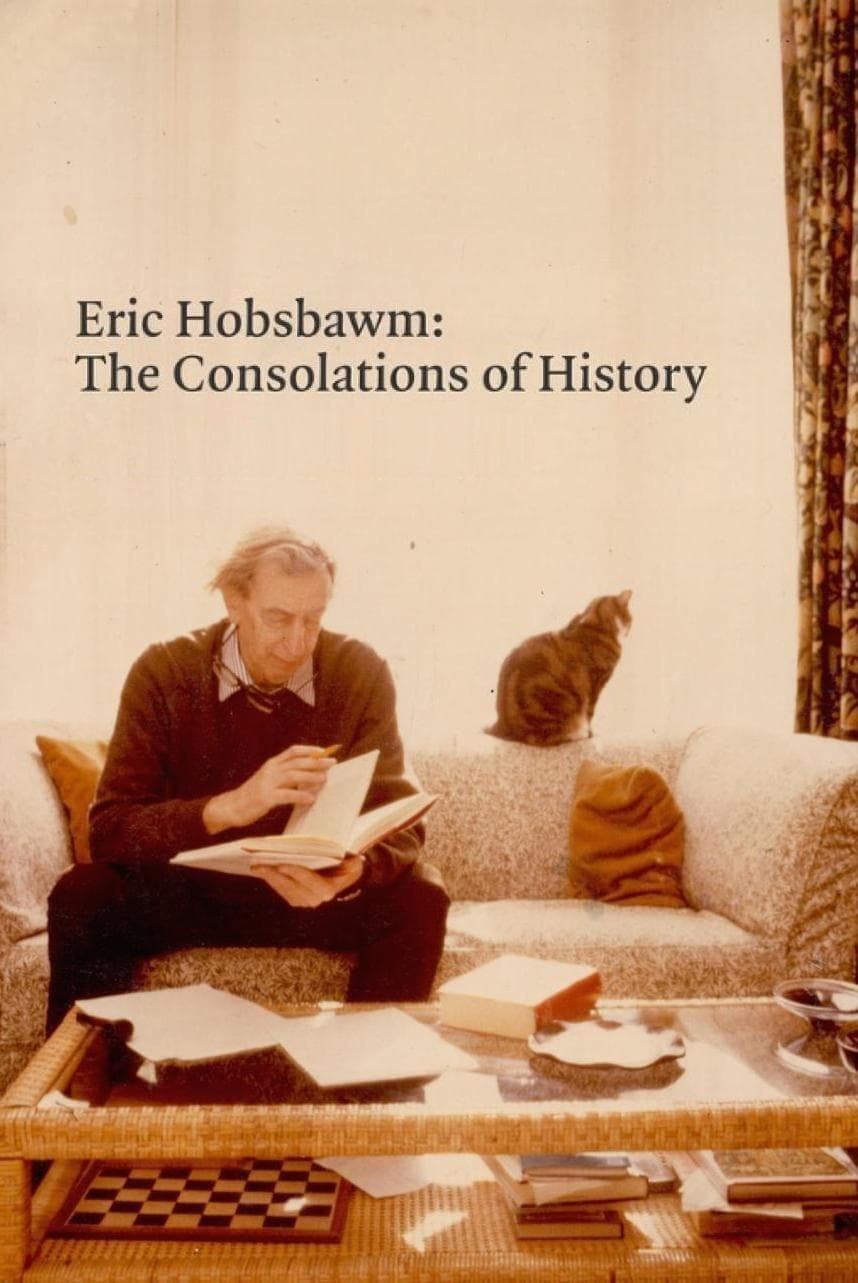 Poster de Eric Hobsbawm: The Consolations of History