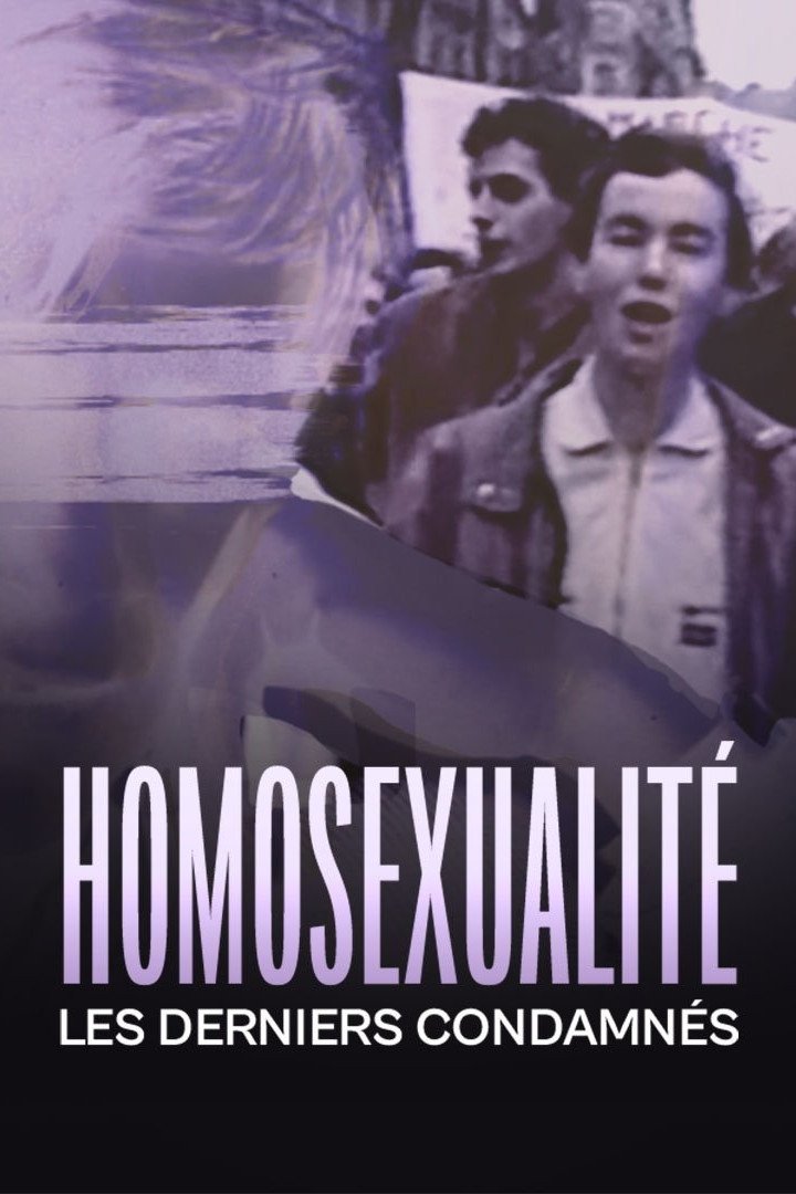 Poster de Homosexualité, les derniers condamnés