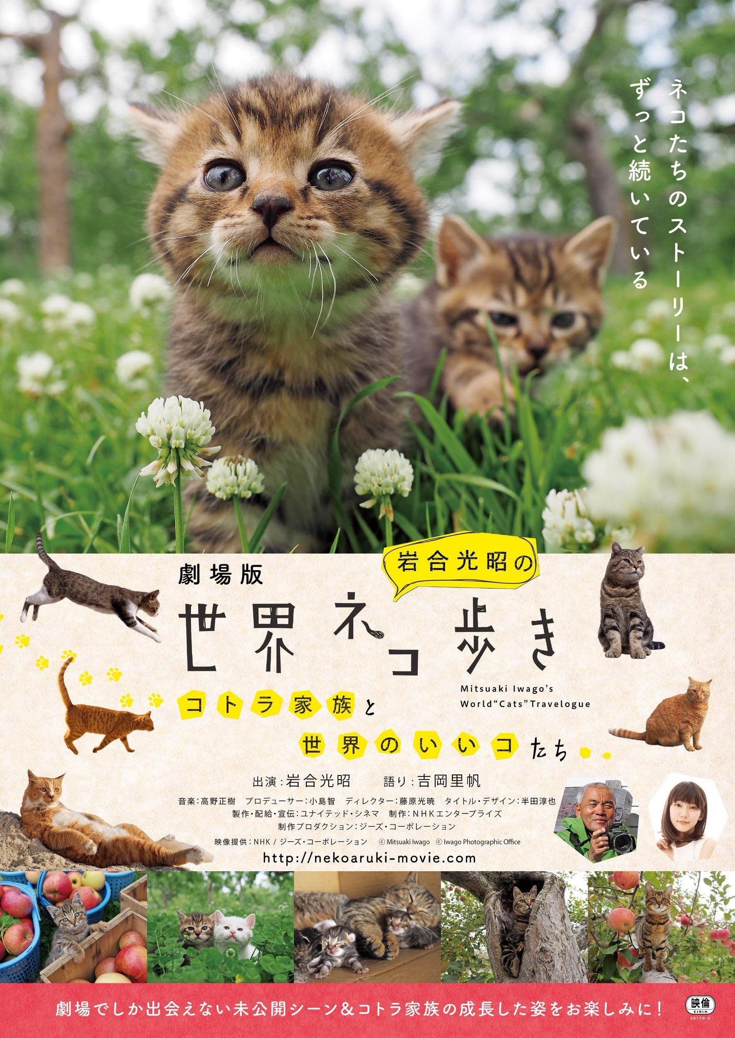 Poster de 岩合光昭の世界ネコ歩き