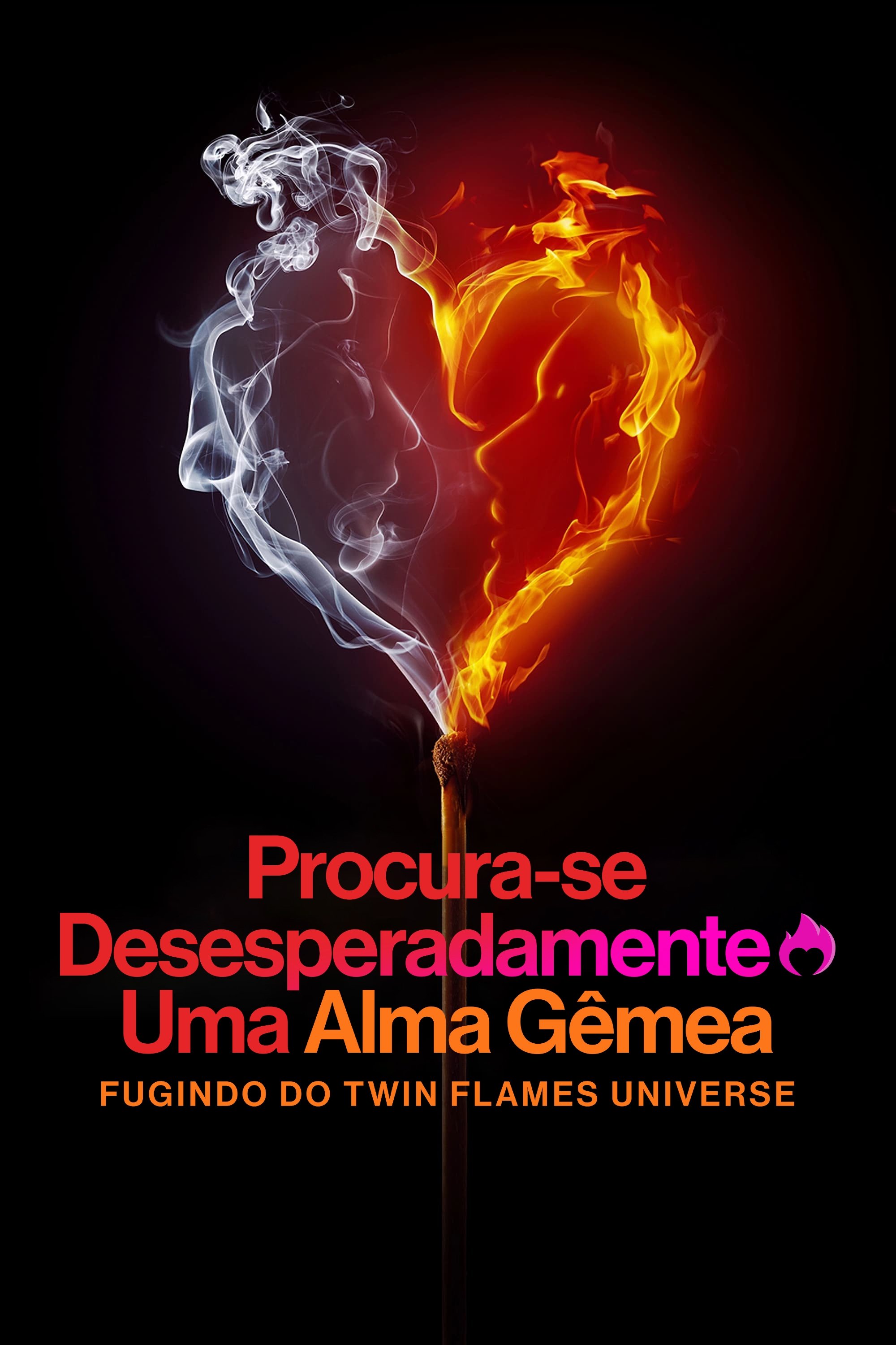Poster de Procura-se Desesperadamente Uma Alma Gêmea: Fugindo do Twin Flames Universe
