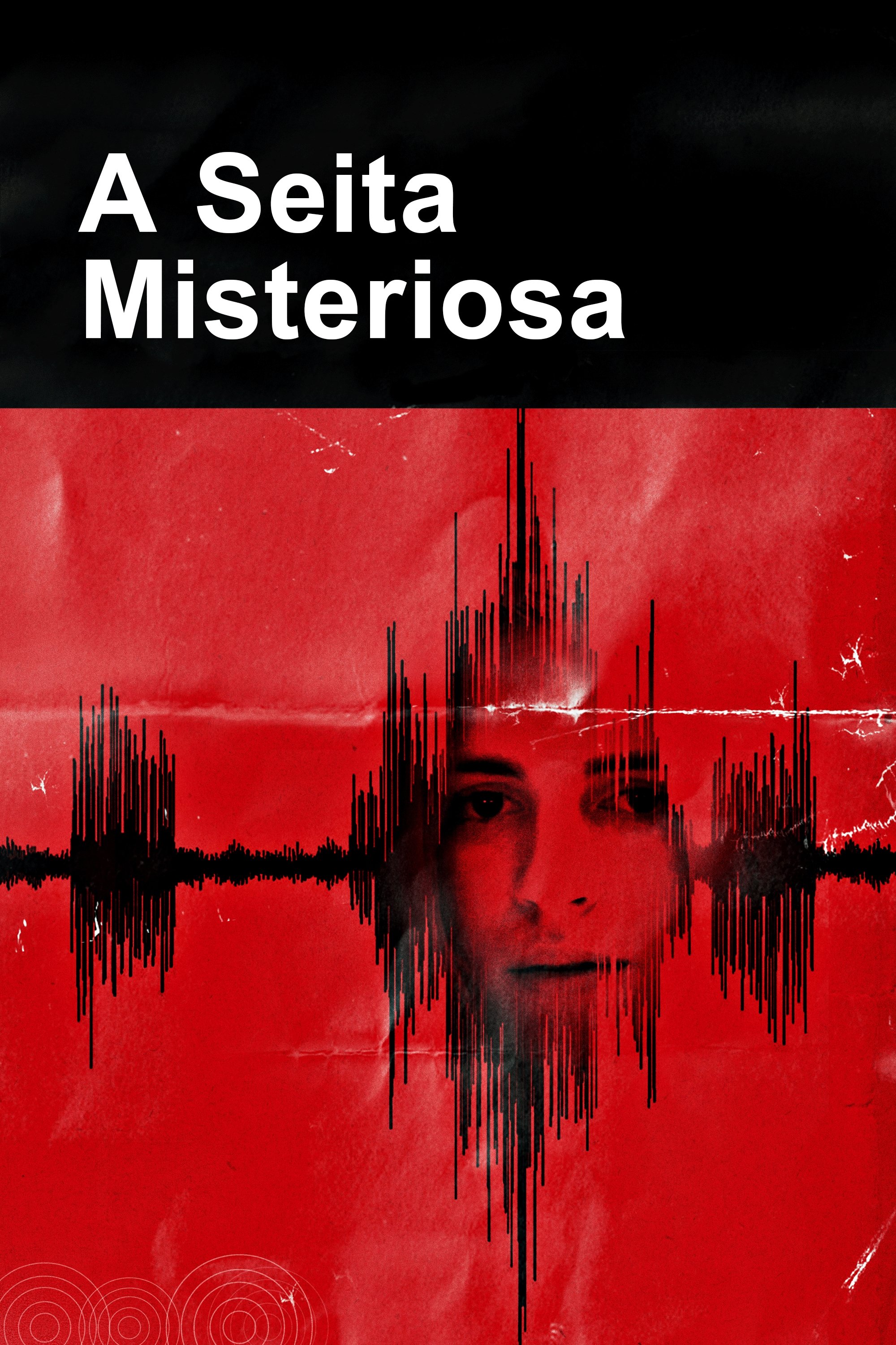 Poster de A Seita Misteriosa