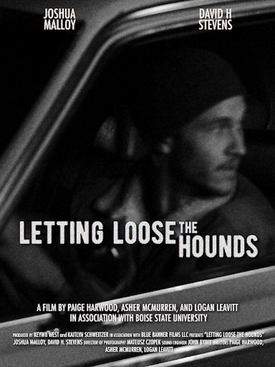 Affiche du film Letting Loose the Hounds