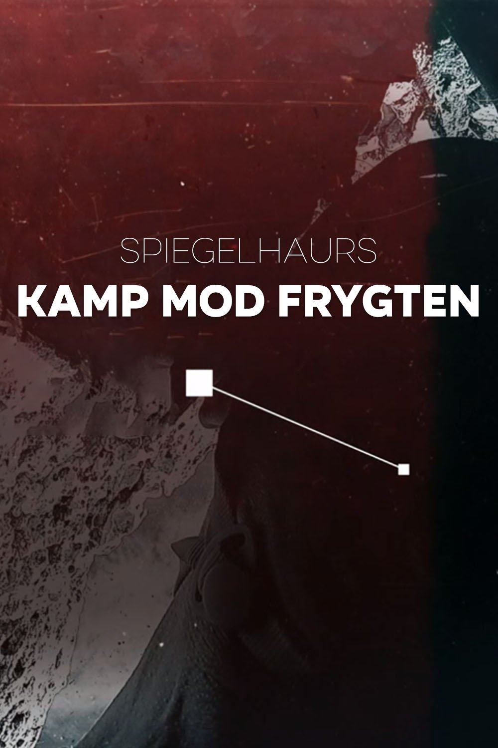 Poster de Spiegelhauers kamp mod frygten
