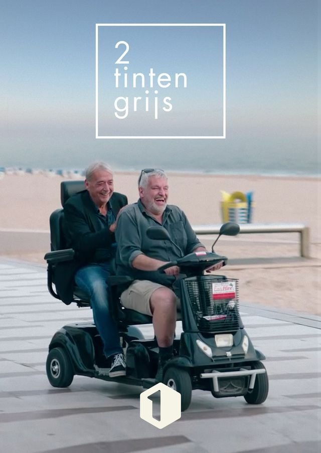 Poster de Twee Tinten Grijs