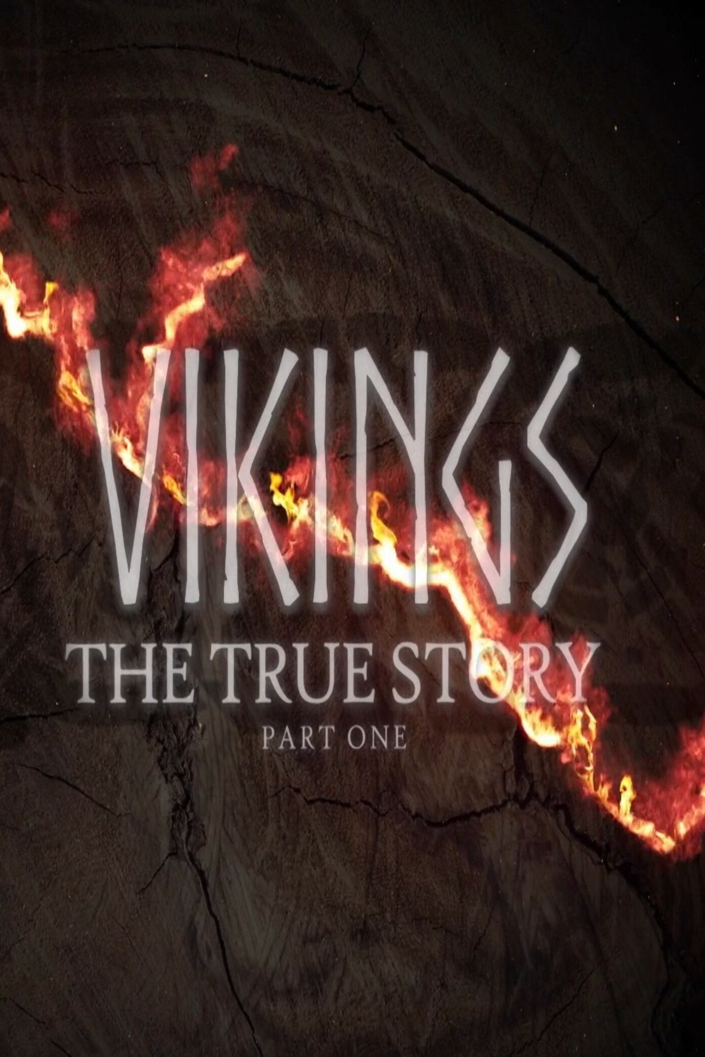 Poster de Vikings: The True Story
