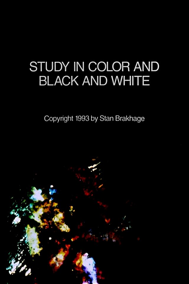 Poster de Study in Color and Black and White