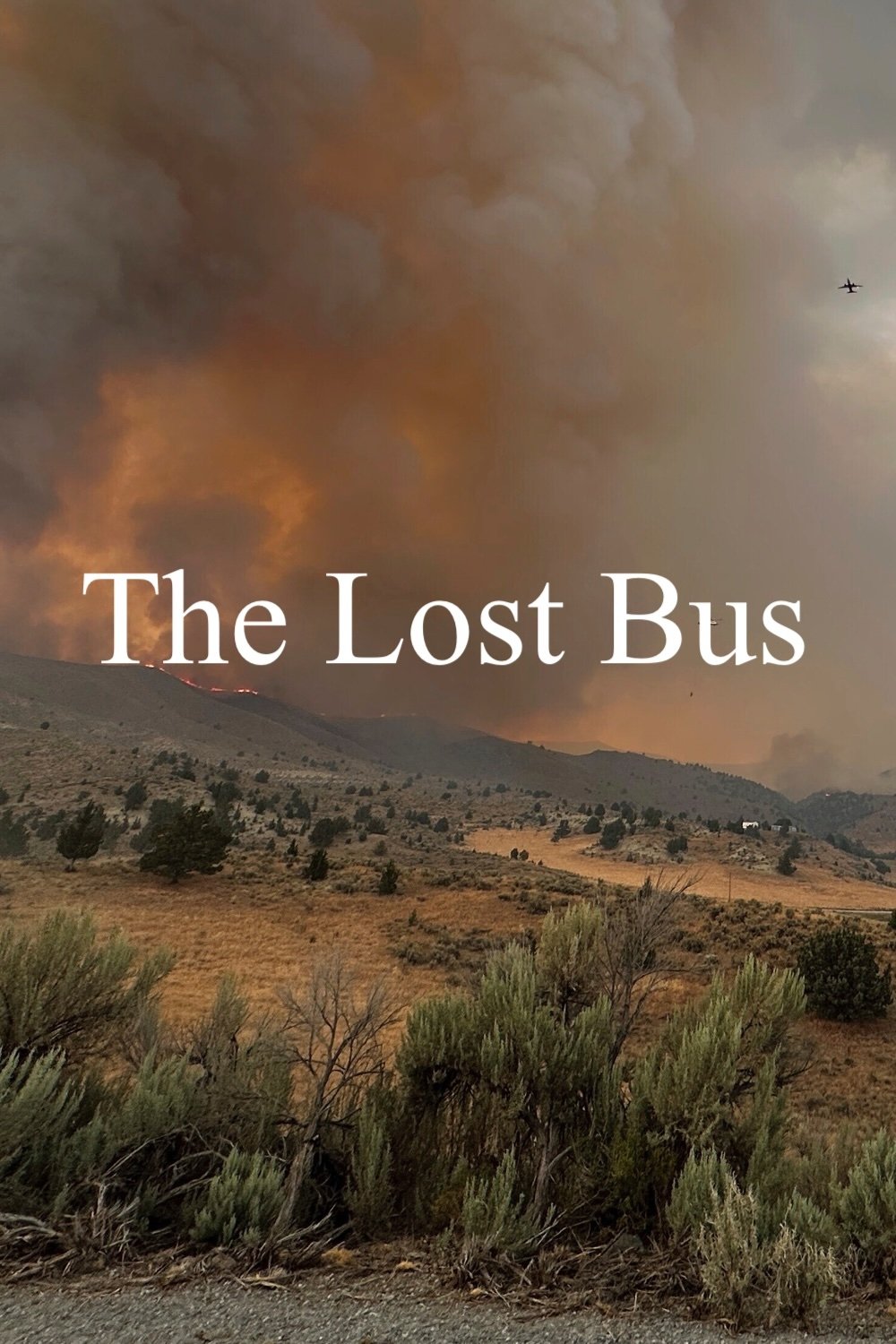 Poster de The Lost Bus