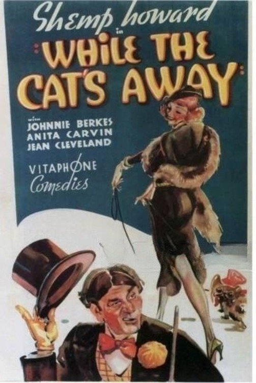 Poster de While the Cat's Away