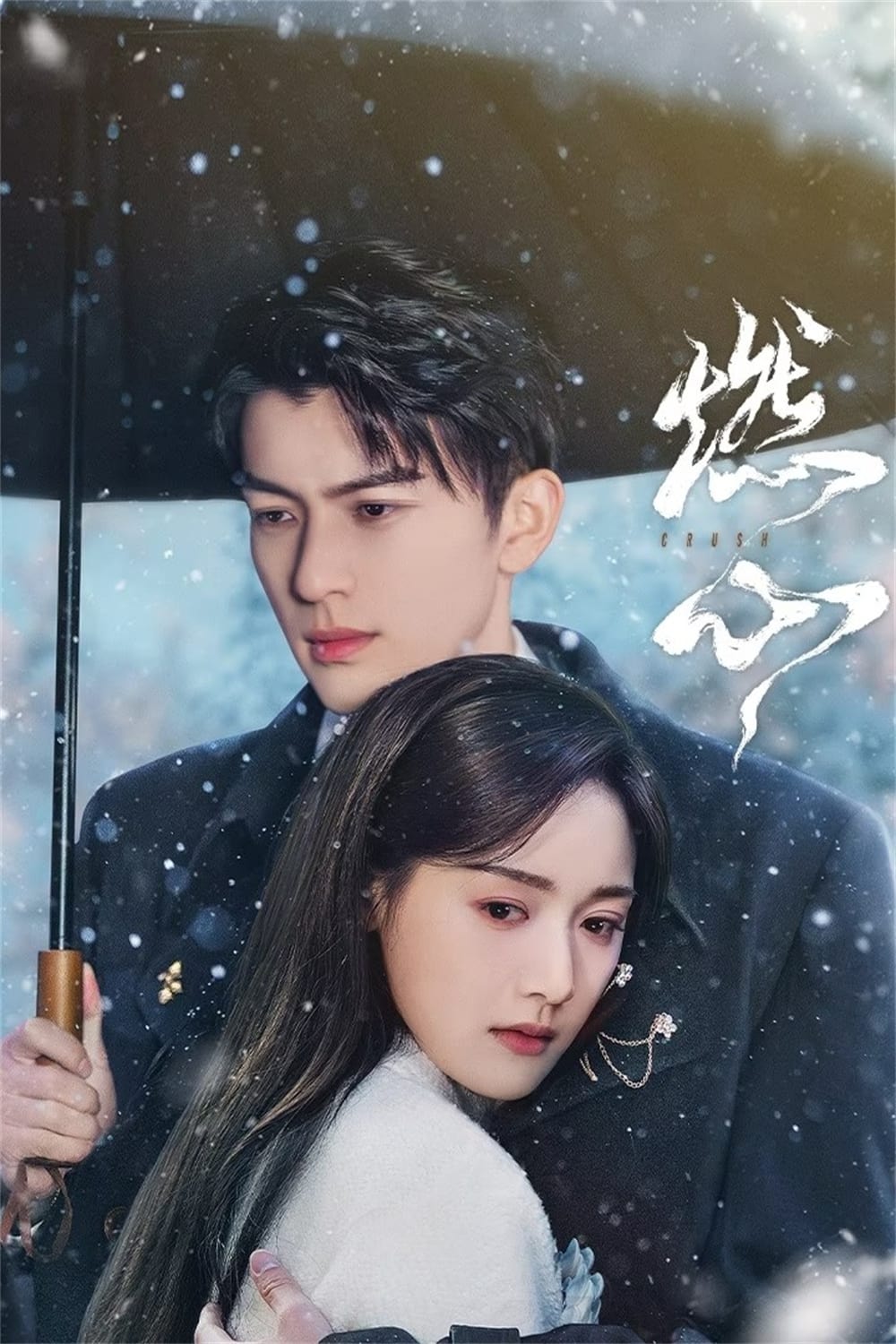 Poster de 燃心