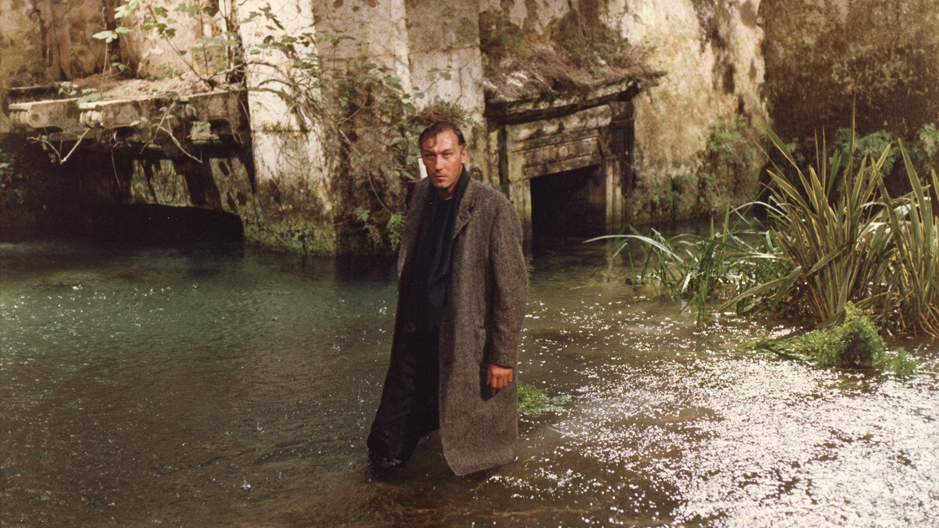 Backdrop image